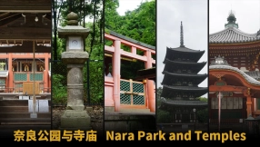 奈良公园与寺庙  Nara Park and Temples