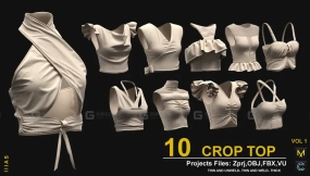 10款女式短款上衣泳衣内衣 10 CROP TOP VOL1