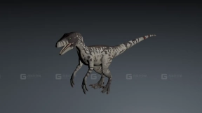 Dromaesaurus - 驰龙