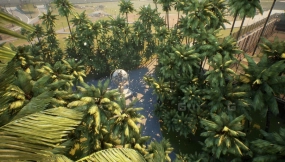 【UE】真实棕榈树资源包（移动端PC端）  Real Palm Pack (Mobile PC)