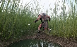 【UE】高草丛 - 支持 Nanite 技术的高草丛素材第 1 卷 Nanite Tall Grass Vol.1