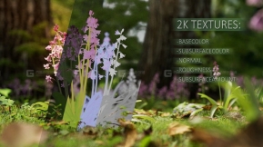 蓝铃花植物3D模型