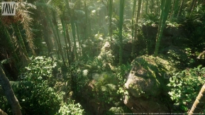 【UE】MW热带雨林树木生物群落  MW Tropical Rainforest Trees Biome