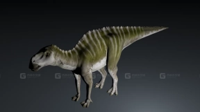 Kamuysaurus - 神威龙