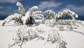 【UE】冬季雪景植物 - 大西洋雪松垂枝蓝叶变种（高模+低模）  Winter Snow Plants - Cedrus atlantica Glauca Pendula – Atlas (Highpoly+Low Poly)