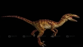 Velociraptor - 迅猛龙