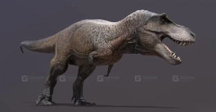 霸王龙 Tyrannosaurus rex 0