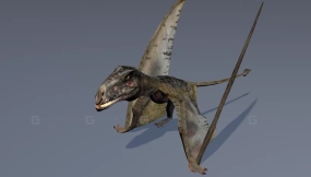 双型齿翼龙 Dimorphodon 0