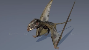 双型齿翼龙 Dimorphodon 0