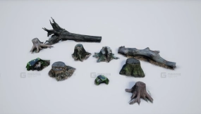 【UE】照片扫描写实树桩与树干  Photo-scanned Realistic Tree Stumps   Trunks
