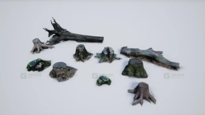 【UE】照片扫描写实树桩与树干  Photo-scanned Realistic Tree Stumps   Trunks