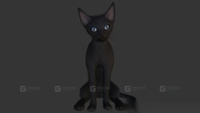 斯芬克斯猫 Sphynx Cats 7