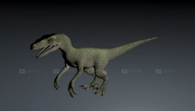 Velociraptor1 - 迅猛龙1
