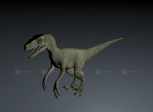 Velociraptor1 - 迅猛龙1
