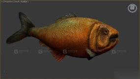 鱼网 Fish mesh 26