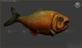 鱼网 Fish mesh 26