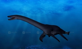 Attenborosaurus - 阿滕伯勒龙