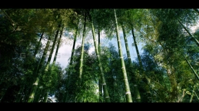 【UE】亚洲竹林 Bamboo Asian forest