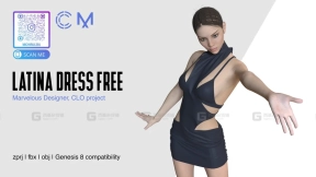 女士拉丁服装裙子内衣 Latina Dress