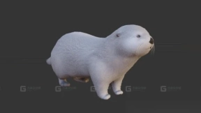 水獭 Otter 18