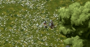 独立开发者展示使用开源软件构建的动作MMORPG