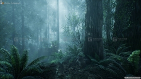 【UE】迷雾森林树木场景