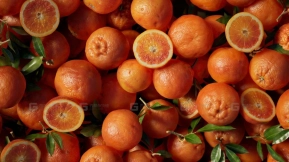 【UE】我的橙子  My Oranges