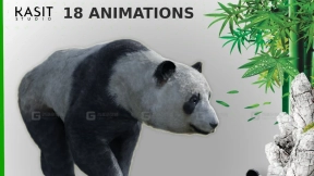 熊猫动画绑定模型  Panda Animated Rigged