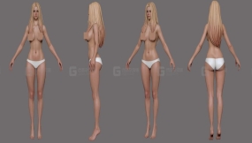 欧洲女性身体基础模型