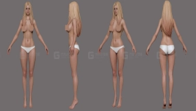 欧洲女性身体基础模型