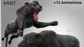 黑豹动画绑定模型  Black Leopard Animated Riged