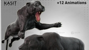 黑豹动画绑定模型  Black Leopard Animated Riged