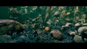 【UE】外星生长环境  Alien Growth Environment