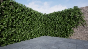 【UE】常春藤叶丛素材包 4K  Ivy Foliage Pack 4K