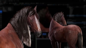 为游戏创建实时马匹毛发 - Creating a Real-Time Horse Groom for Games