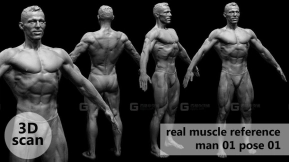 扫描男性肌肉结构身体模型01 3D scan real muscleanatomy Man01 pose 01