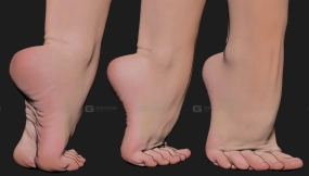 ZBrush超写实逼真人类脚部ZB笔刷专用3D模型