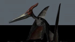 翼手龙 Pterandon 0