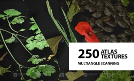 250种植物叶子贴图包