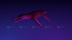 克柔龙 Kronosaurus 0