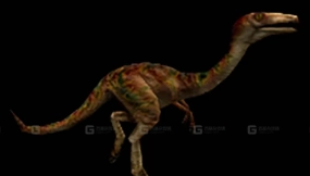 似鸡龙 Gallimimus1 0