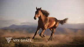 VFX Grace棕色马匹动画3D模型 VFX Grace Brown Horse Animation 3D Model