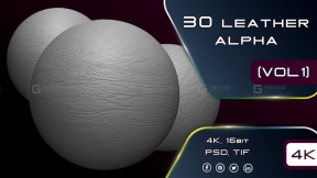 30个无缝皮革Alpha 30 Leather Alphas 