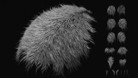 动物毛发头发皮毛短毛笔刷 Fine Fur IMM for ZBrush