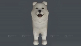 珍岛 Jindo 19