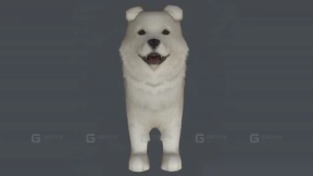 珍岛 Jindo 19