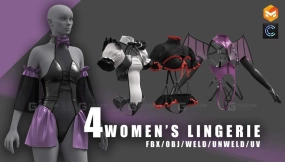 4款女士花边情趣内衣 women's clothinglingerieclo3dunderwearanime