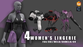 4款女士花边情趣内衣 women's clothinglingerieclo3dunderwearanime