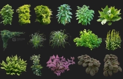 枝叶植物包贴图素材  Cutout pack - Foliage