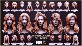 28款女性发型合集（ZTL格式） - 28 Female Hair Collection ZTL